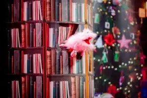 Photo de scène de "Sapristi la père Noël est malade" : y a une peluche rose qui sort de la Bibliothèque !