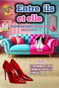 Affiche "Entre il et elle", photo d'un canapé mi bleu mi rose avec des chaussures à talons rouge en premier plan